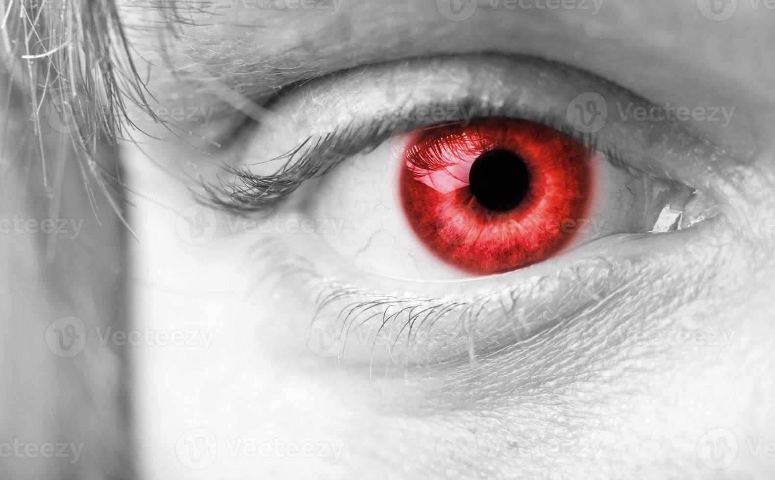 Close-up the red vampires eye photo