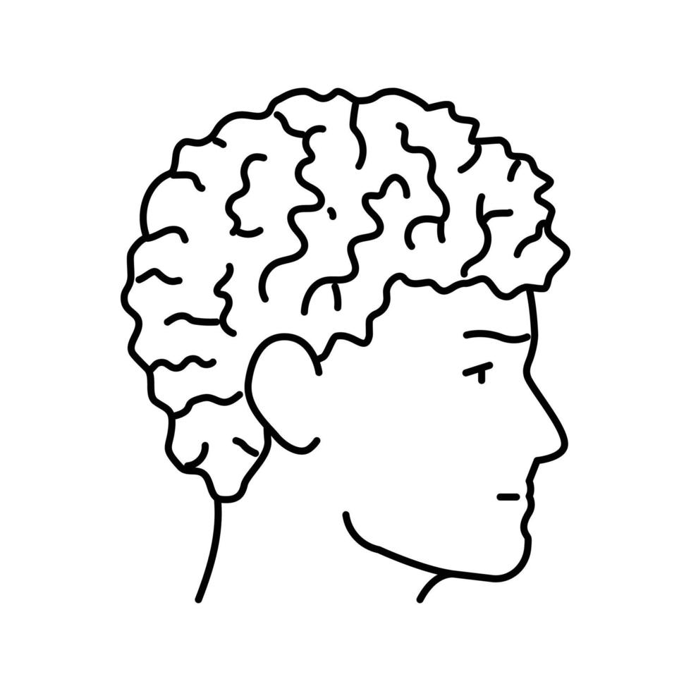 curly male hairstyle male line icon vector illustration