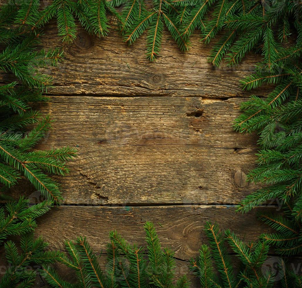 Christmas tree branches on wooden texture ready for your design photo