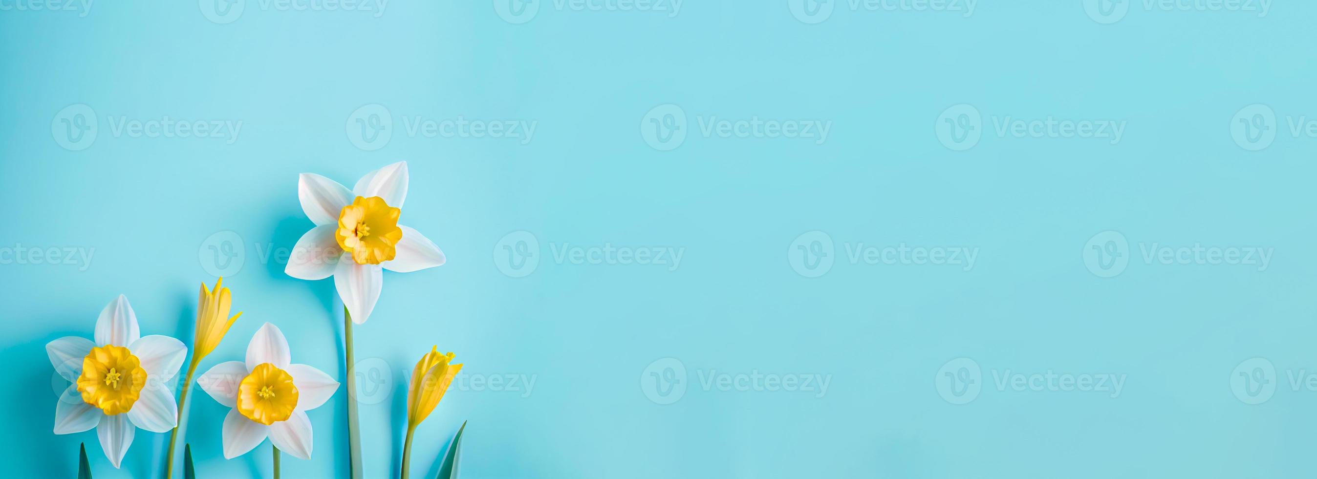 Spring easter background with top view of daffodils bouquet on light blue background with copy space photo