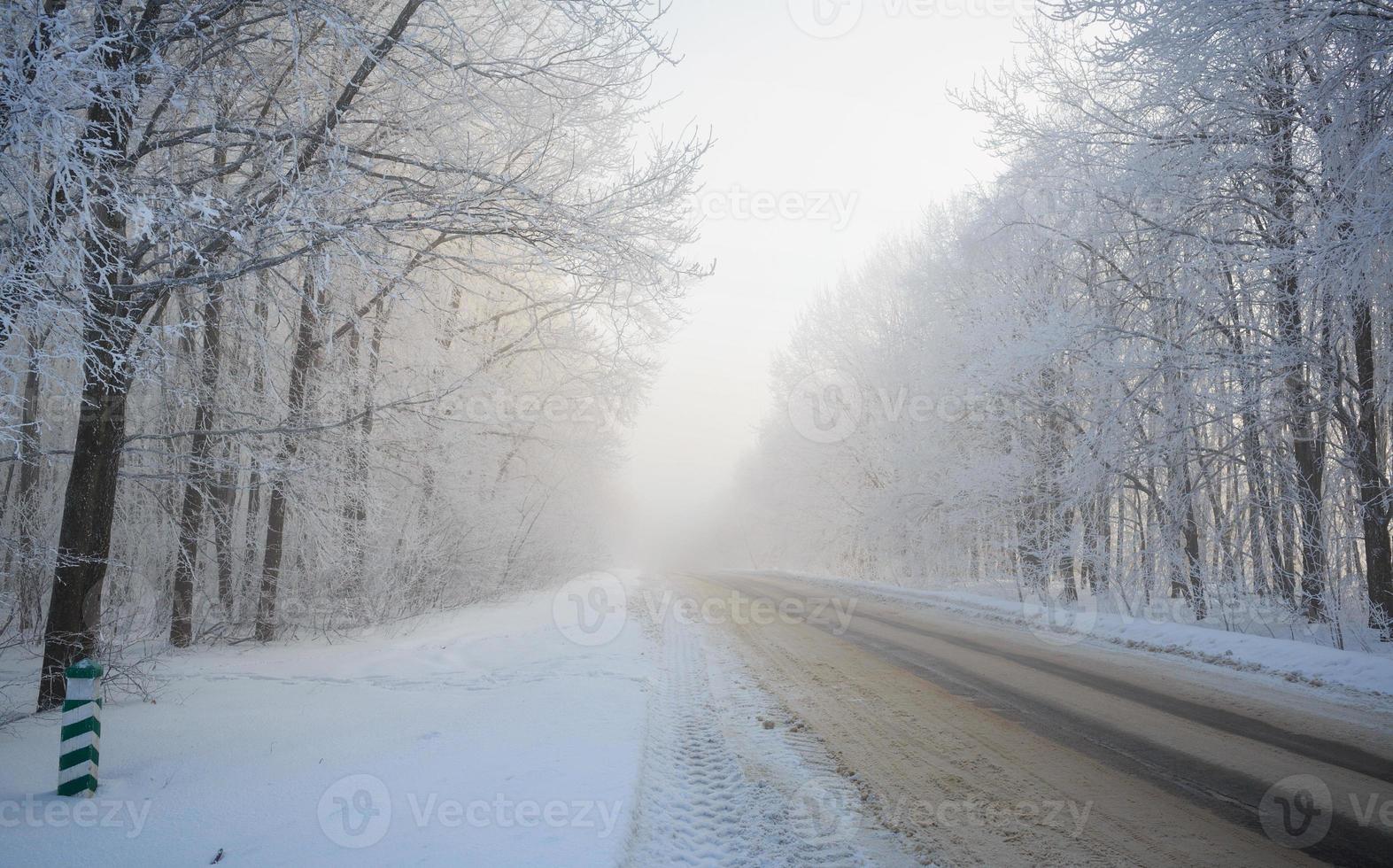 Road at the winter landscape in the forest photo