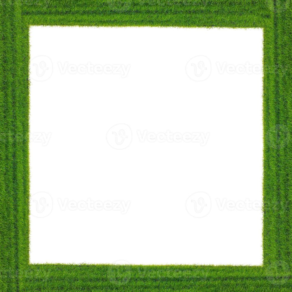 Green grass frame photo