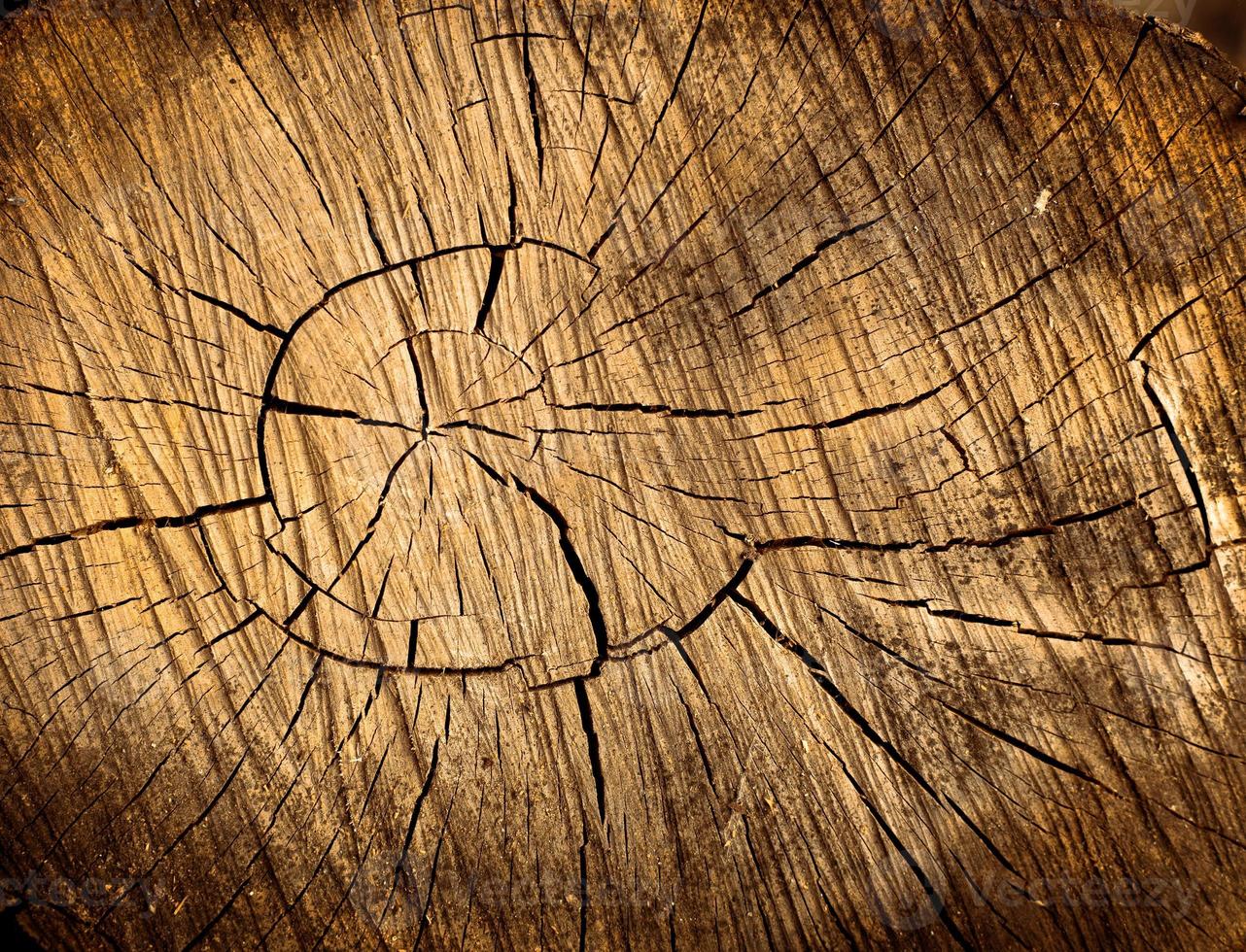 Wooden texture background photo