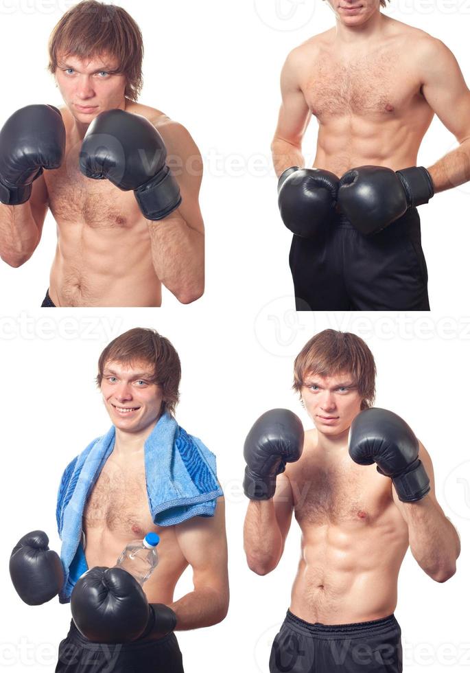 Young male Boxer pack photo