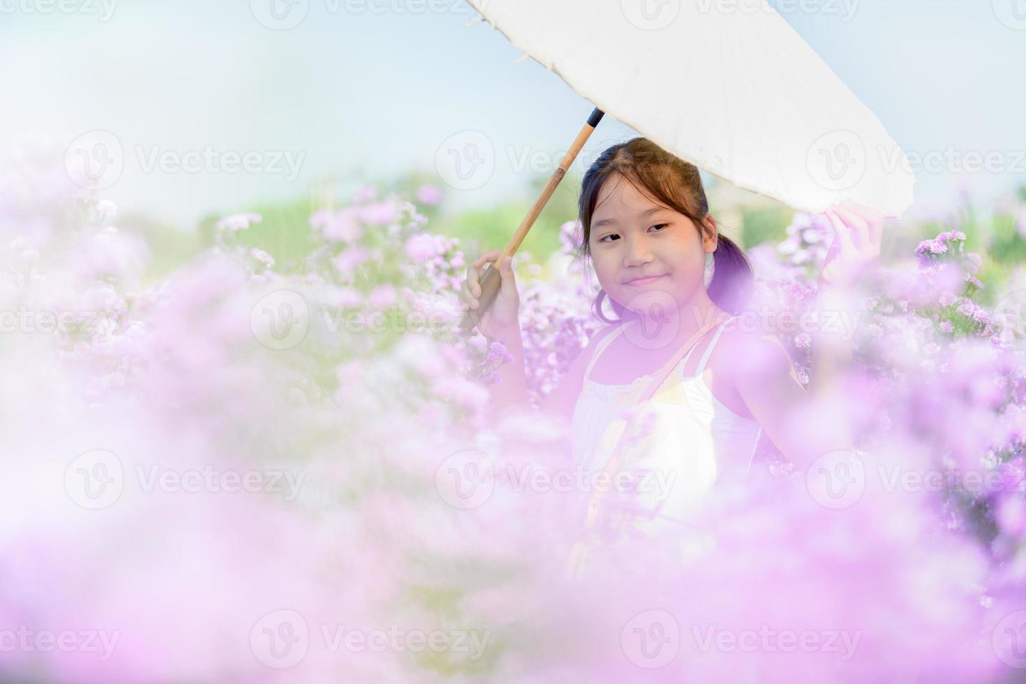 Cute girl hold paper umbrella in Michaelmas Daisy or New York Aster flower field, photo