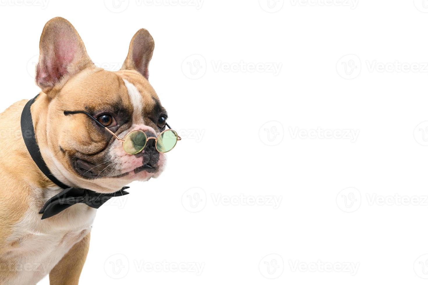 Cute french bulldog wear bow tie and glasses isolated on white photo