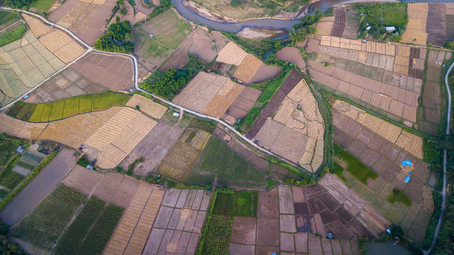 aéreo ver de arrozal campo después cosecha en yaya, Tailandia foto
