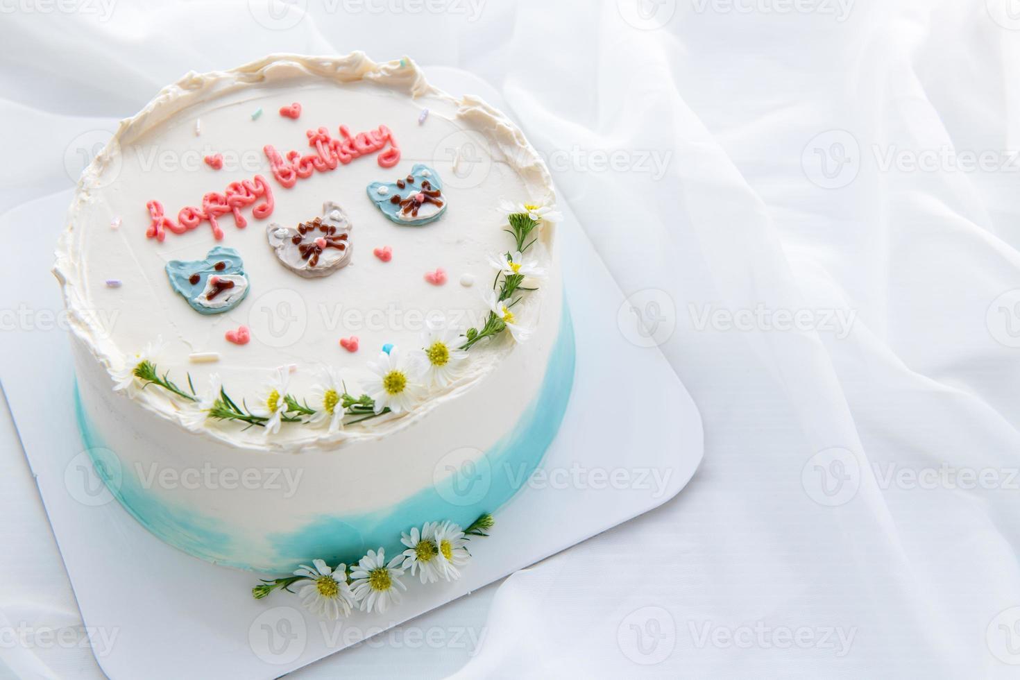 Minimal birthday cake and  decorated cute face cat and small flower on top photo