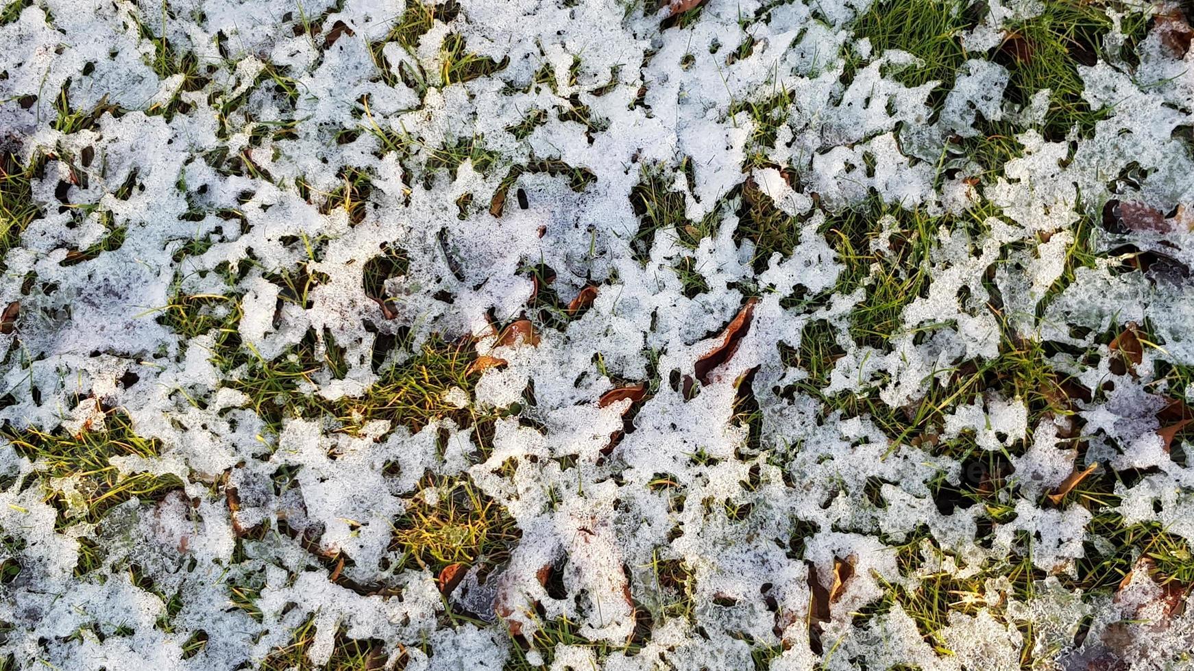 Melting snow on the grass. photo