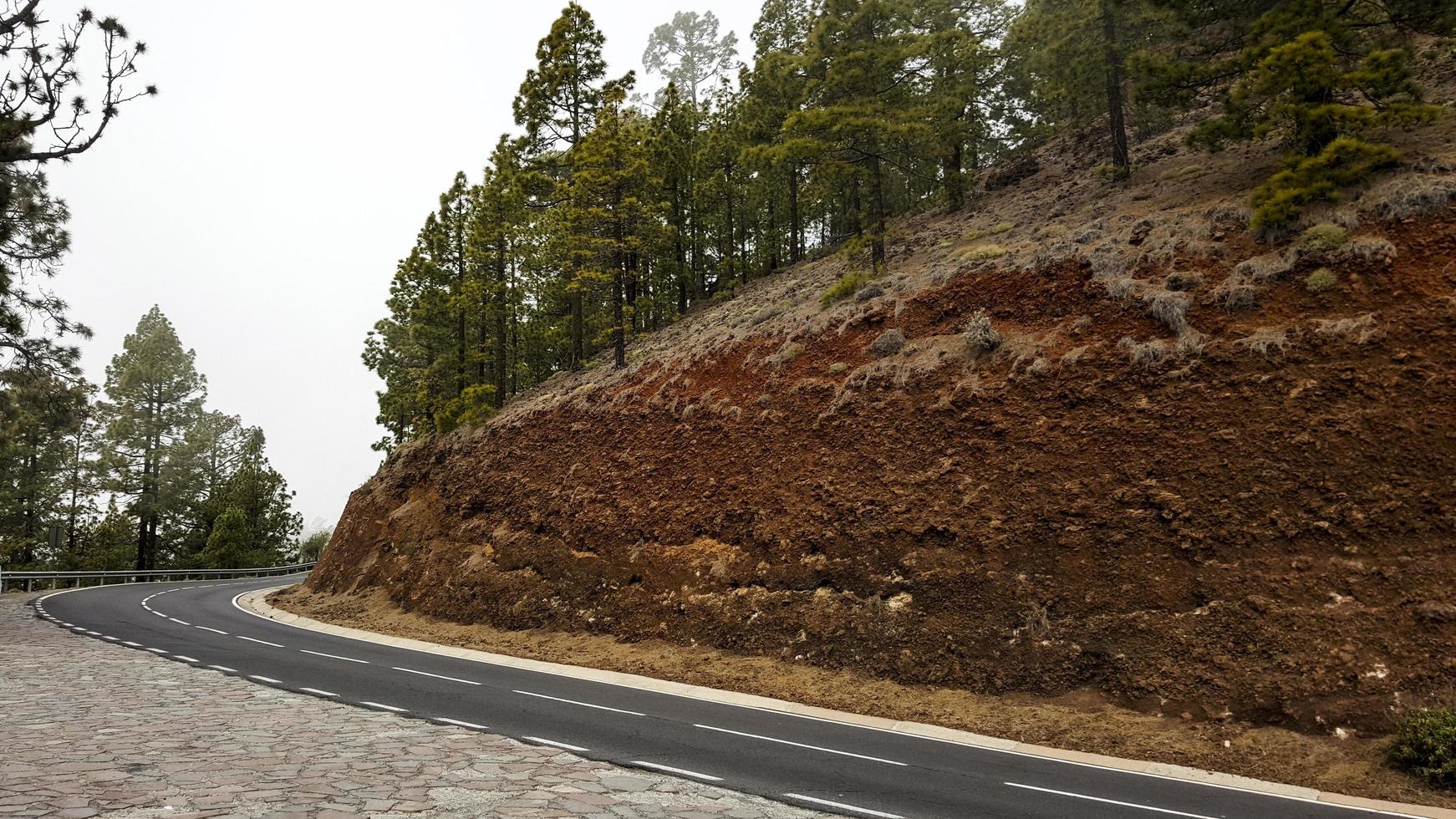 un suave la carretera en el Pendiente de un acantilado. pino bosque en un colina. foto