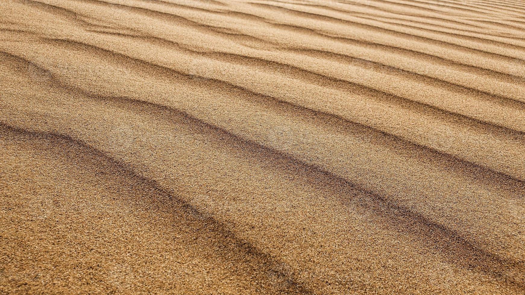 multa Desierto arena en el tiempo de día. foto