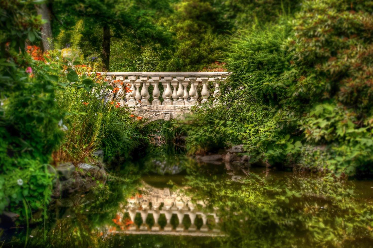 Garden reflecting pool photo