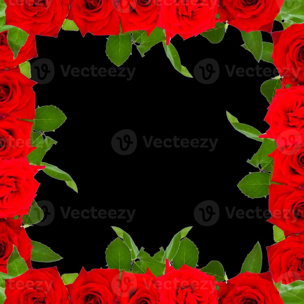 Red roses frame photo