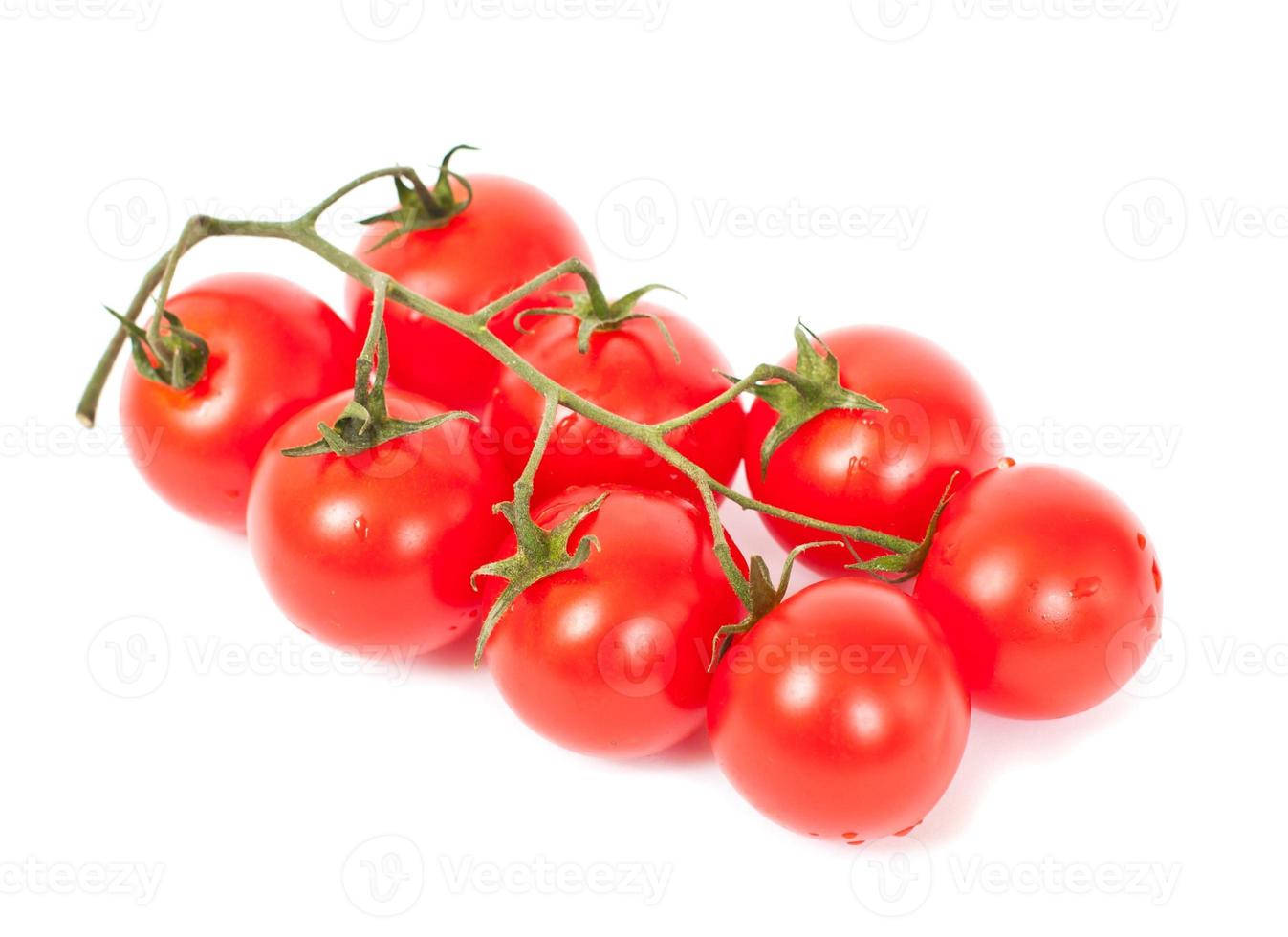Tomatoes on a white photo