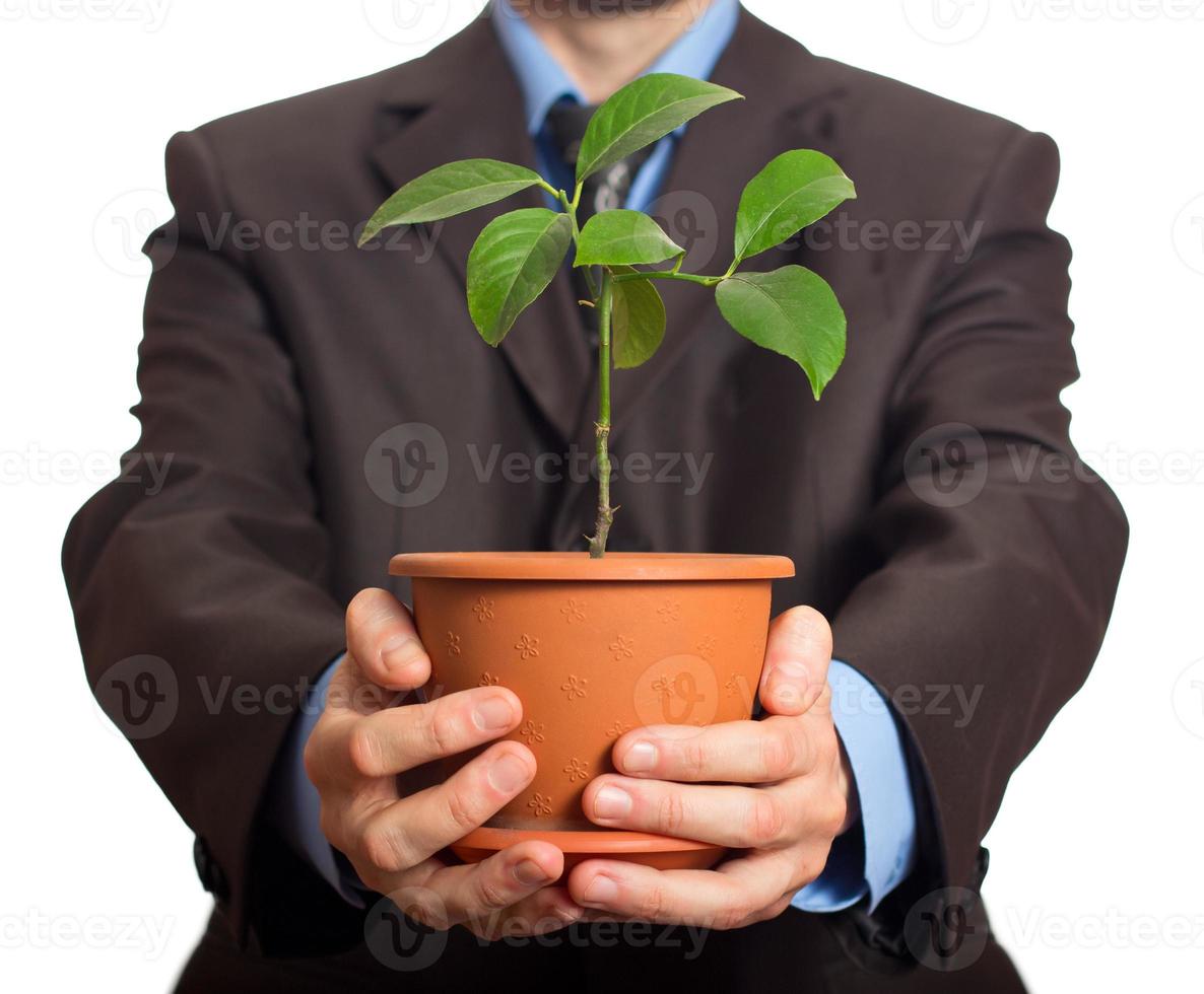 empresario es participación un planta en maceta foto