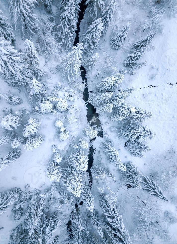 Top view of winter mountain river surrounded by trees and banks of snow-covered photo