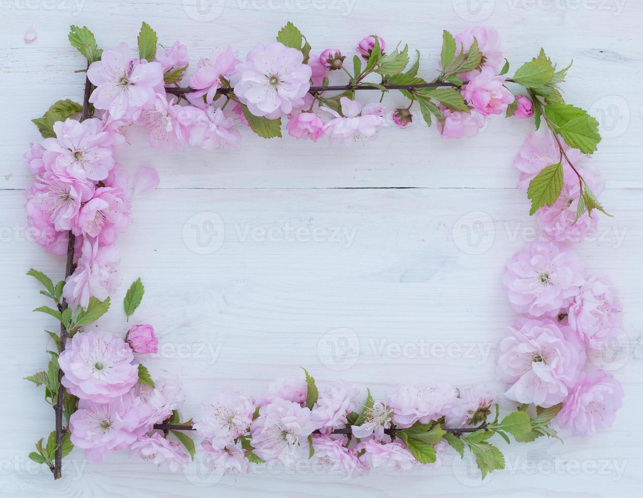 Flowers frame on white wooden photo