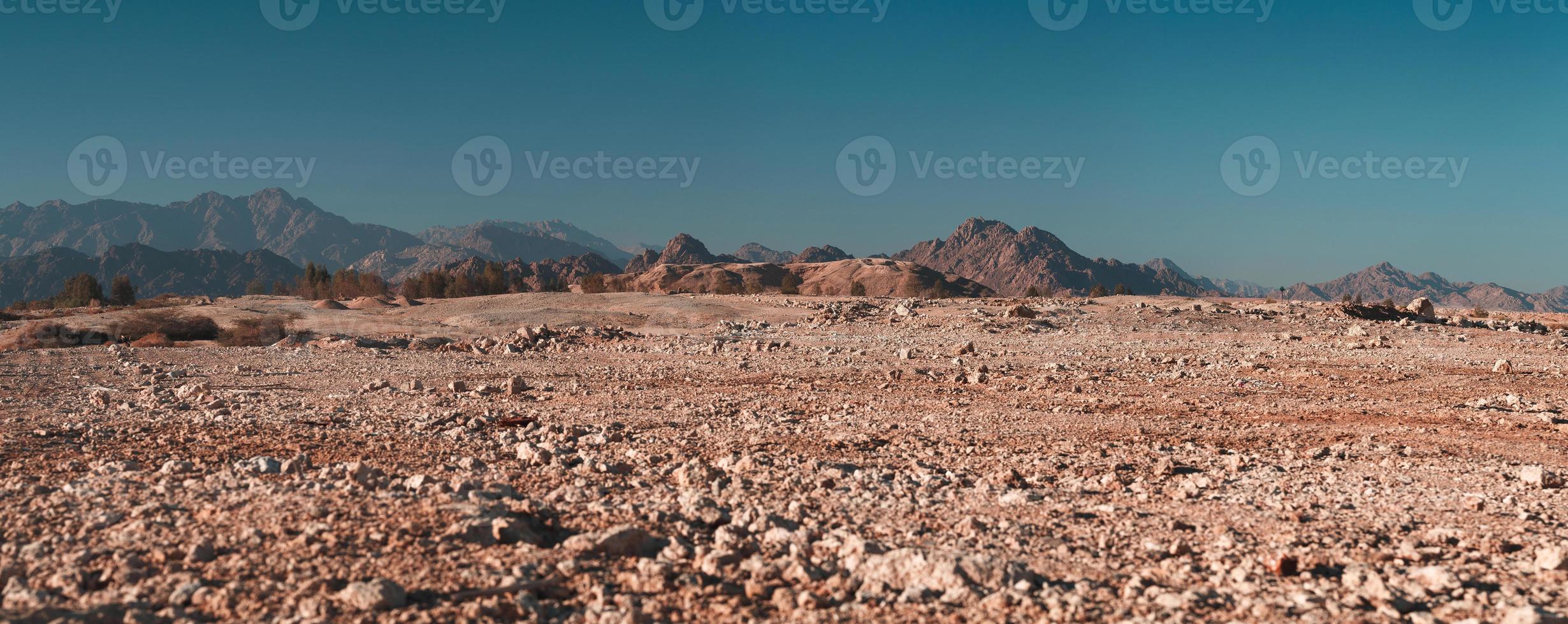 Desert on a background of mountains photo