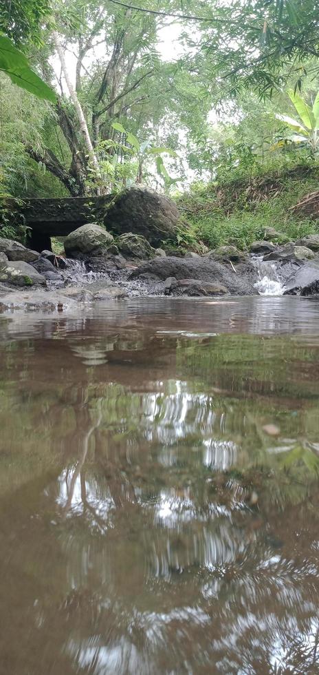 pequeño montaña río con piedras y arboles foto