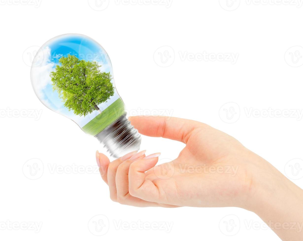 Environmental concept Renewable Energy photo