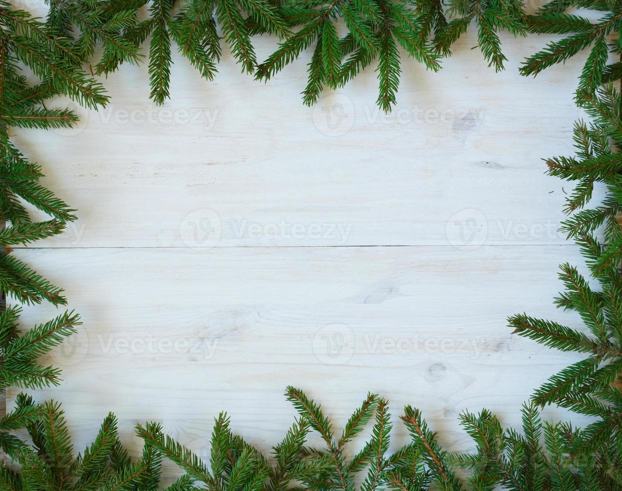 Christmas tree branches on white wooden texture ready for your design photo