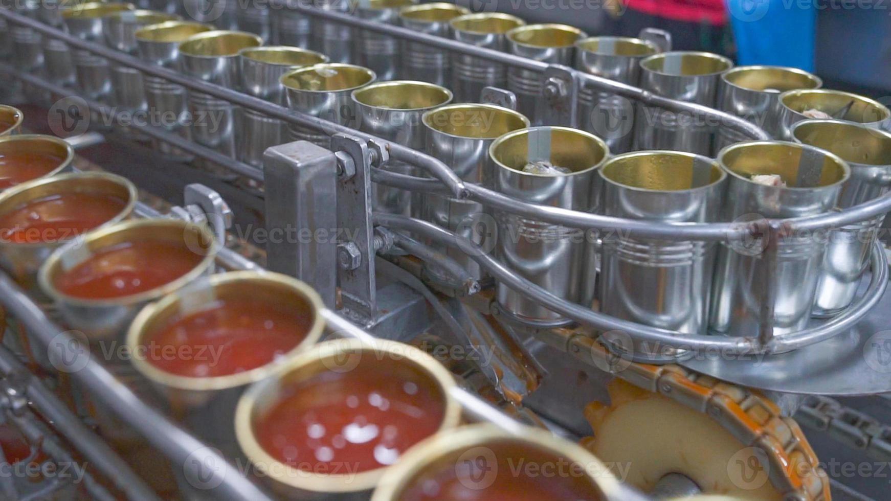 Canned fish factory. Food industry.  Many can of sardines on a conveyor belt. Sardines in red tomato sauce in tinned cans at food factory. Food processing production line. Food manufacturing industry. photo