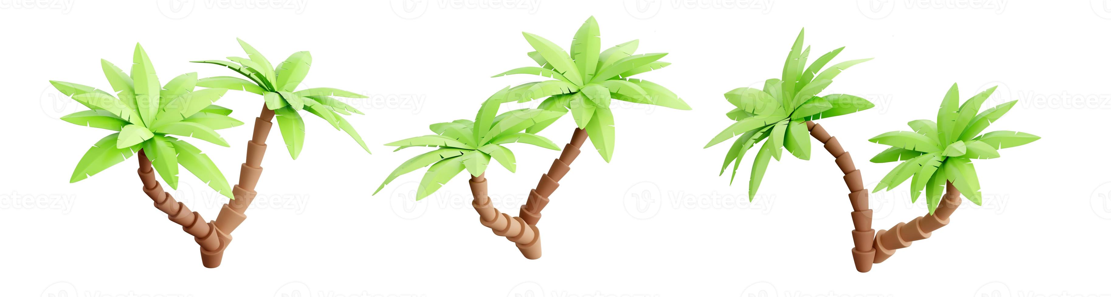 Palm tree 3d render - tropical plant with green leaves and brown trunk for beach vacation and summer travel concept. photo
