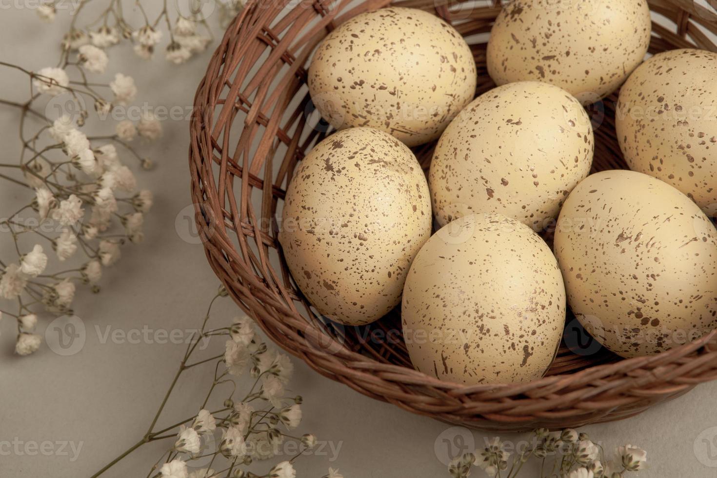 Pastel Easter eggs background. Spring greating card. Easter eggs in basket photo