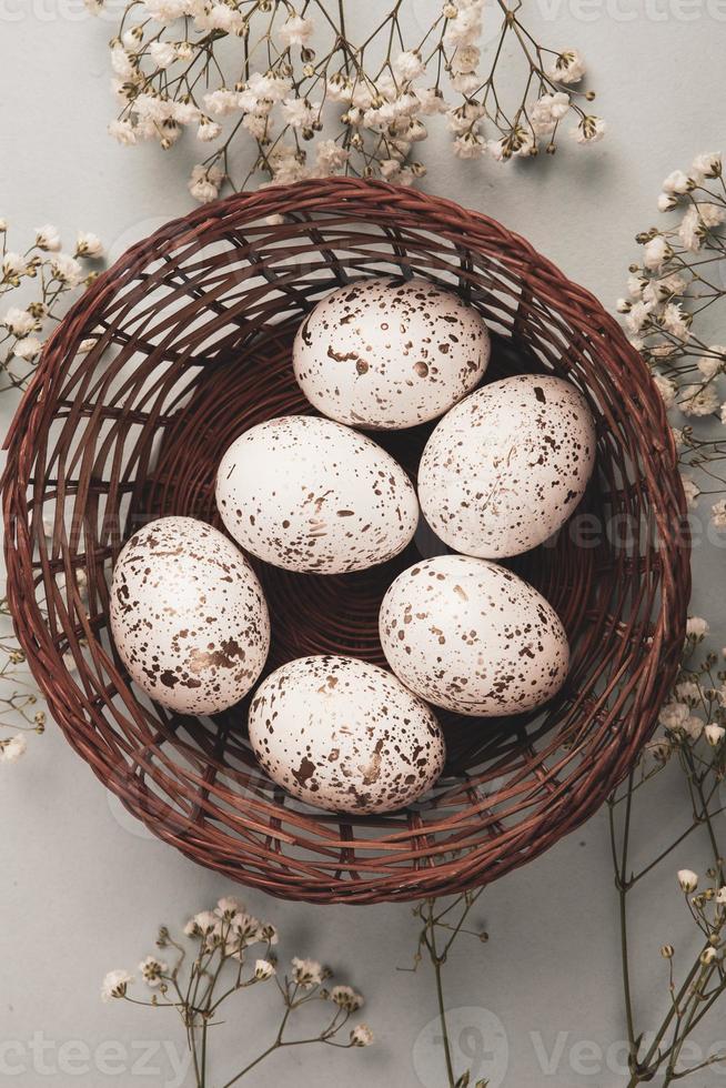 Pastel Easter eggs background. Spring greating card. Easter eggs in basket photo