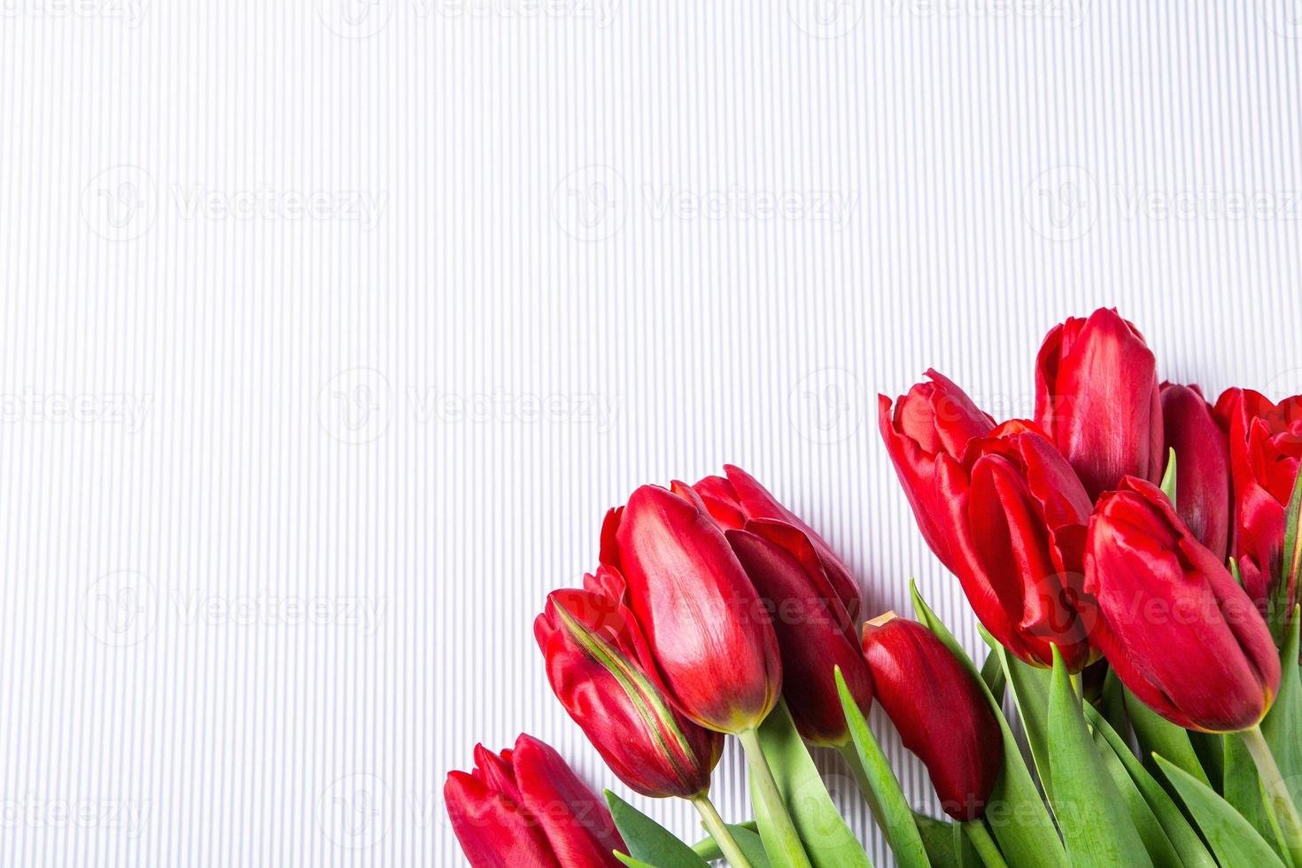 Banner with bouquet of tulips in pink and white colors. Concept of spring. Flowers background. photo
