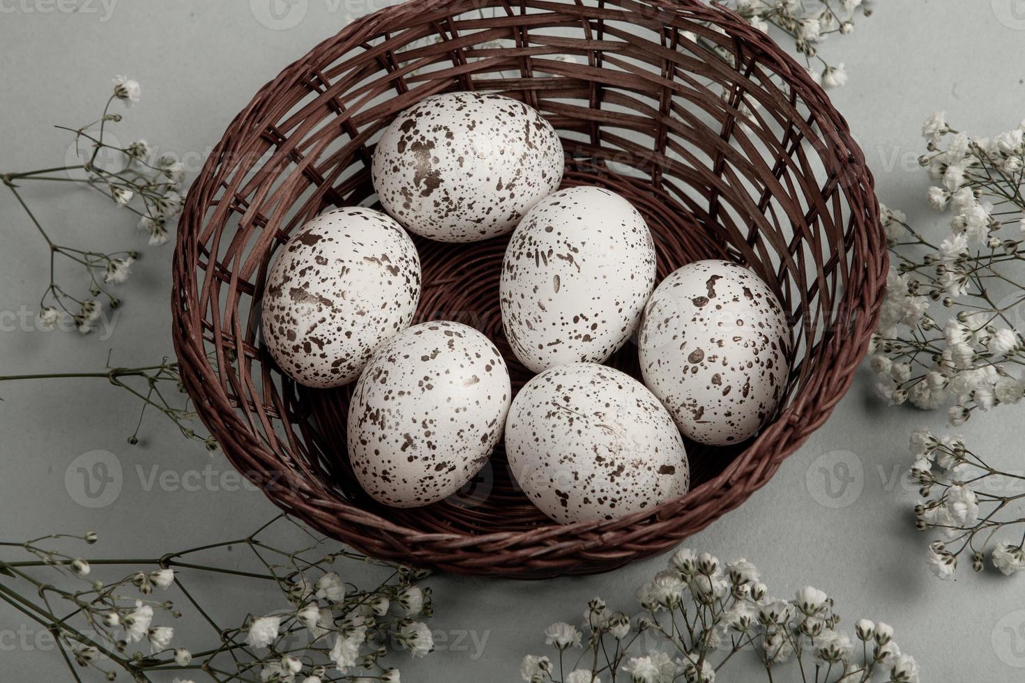 Pastel Easter eggs background. Spring greating card. Easter eggs in basket photo