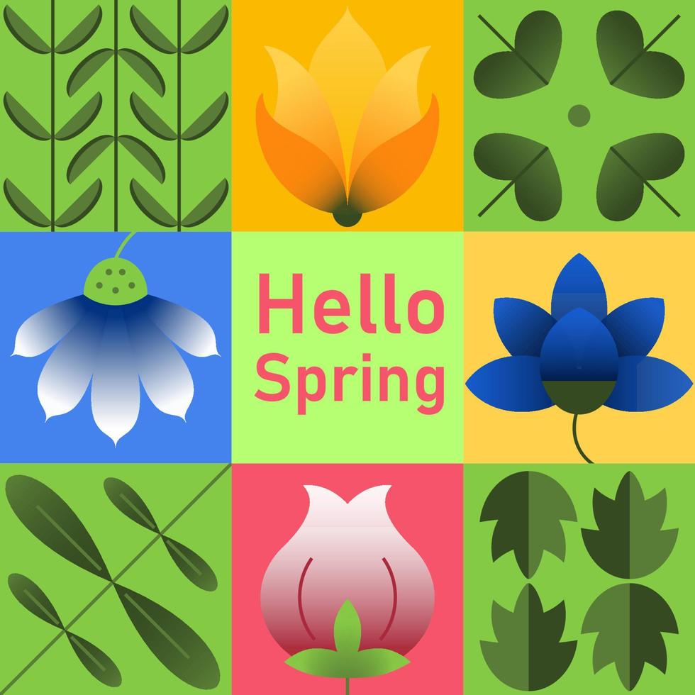 Hello spring simple geometric abstract design. Greetings card with colorful flower elements like snowdrop, tulip, crocus, leaves for spring season. Vector illustration for banner, poster, invitation
