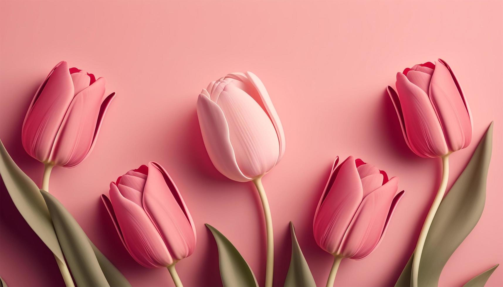 Spring tulip flowers on pink background top view in flat lay style. photo