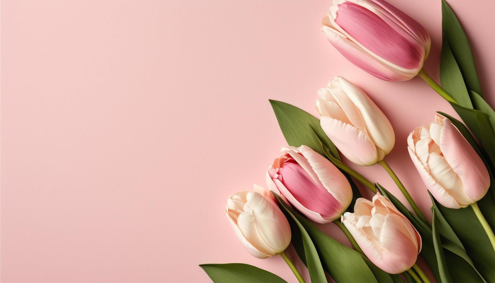 Spring tulip flowers on pink background top view in flat lay style. photo