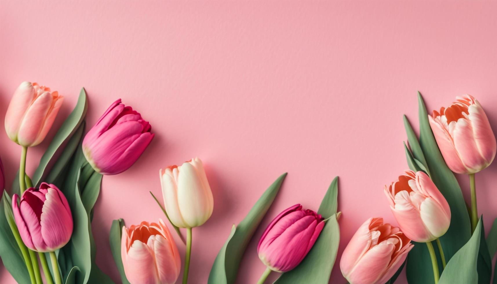 Spring tulip flowers on pink background top view in flat lay style. photo