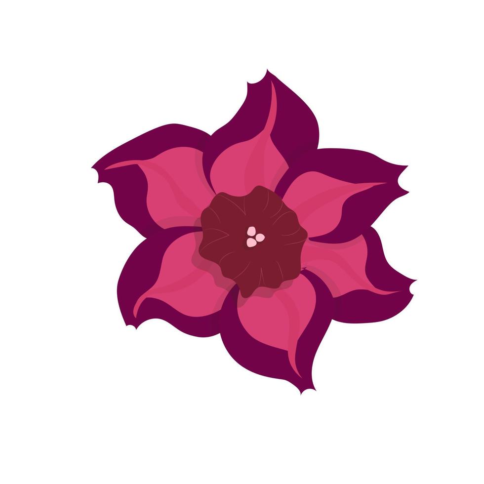Colorful abstract flower icon. Vector illustration isolated on white background.