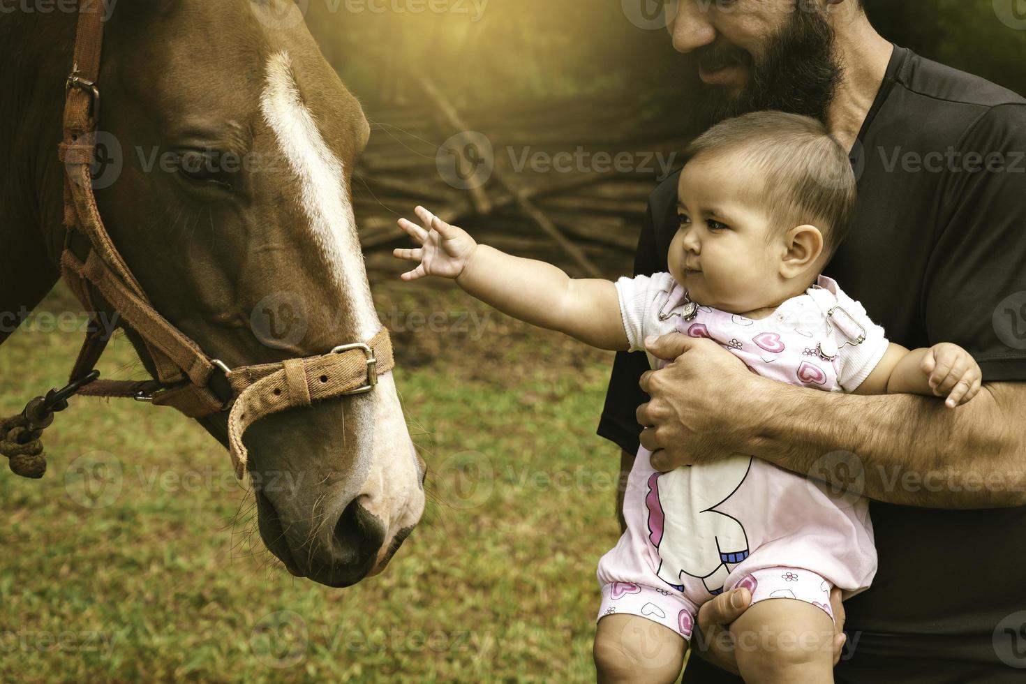 Close up of baby girl with dad touching a mare. photo