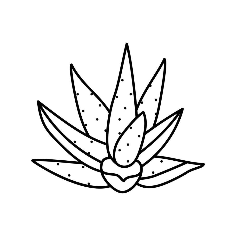 natural aloe vera line icon vector illustration