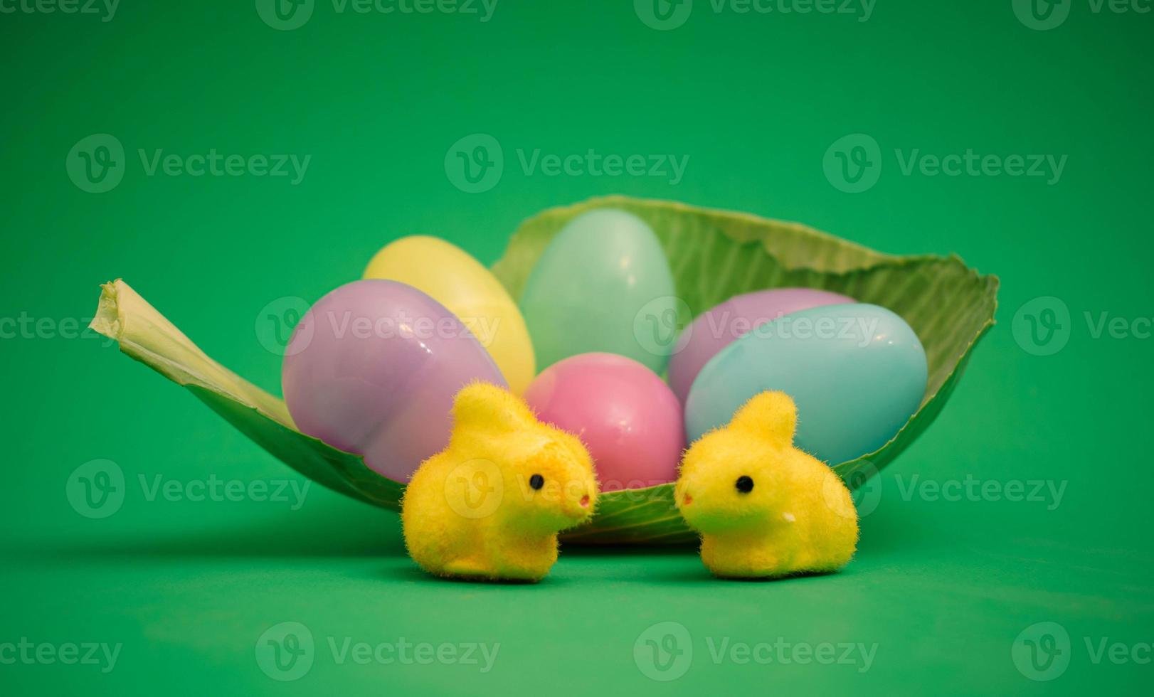 Easter scene with bunnies and colourful eggs in a fresh cabbage leaf photo