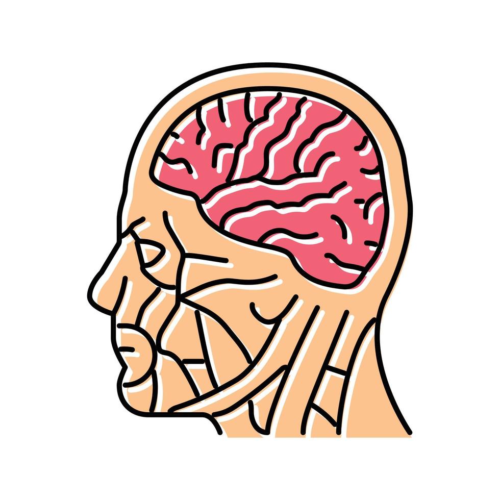 head brain human color icon vector illustration