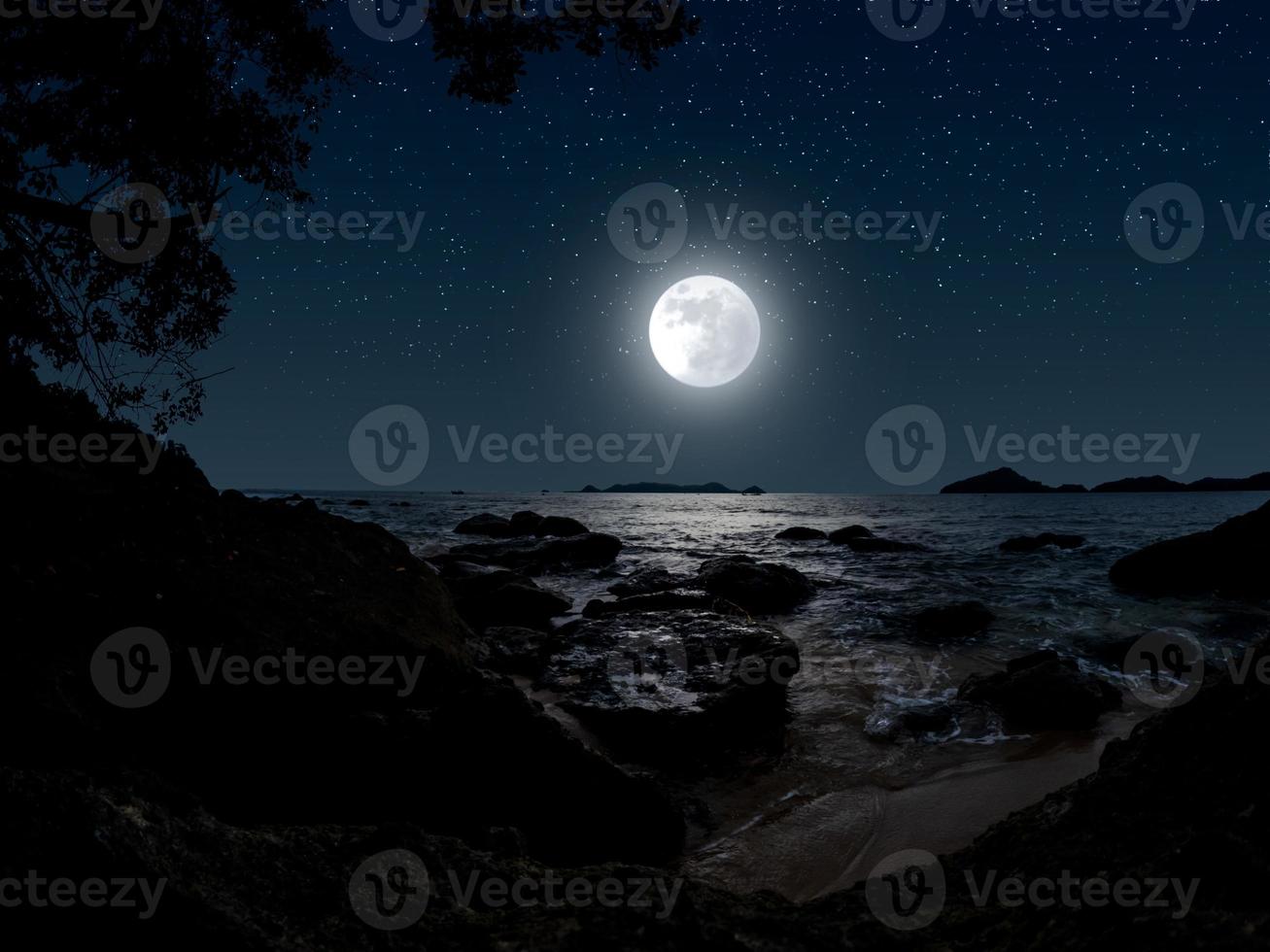 Beautiful calm night at beach with trees, rocks, moon and stars photo