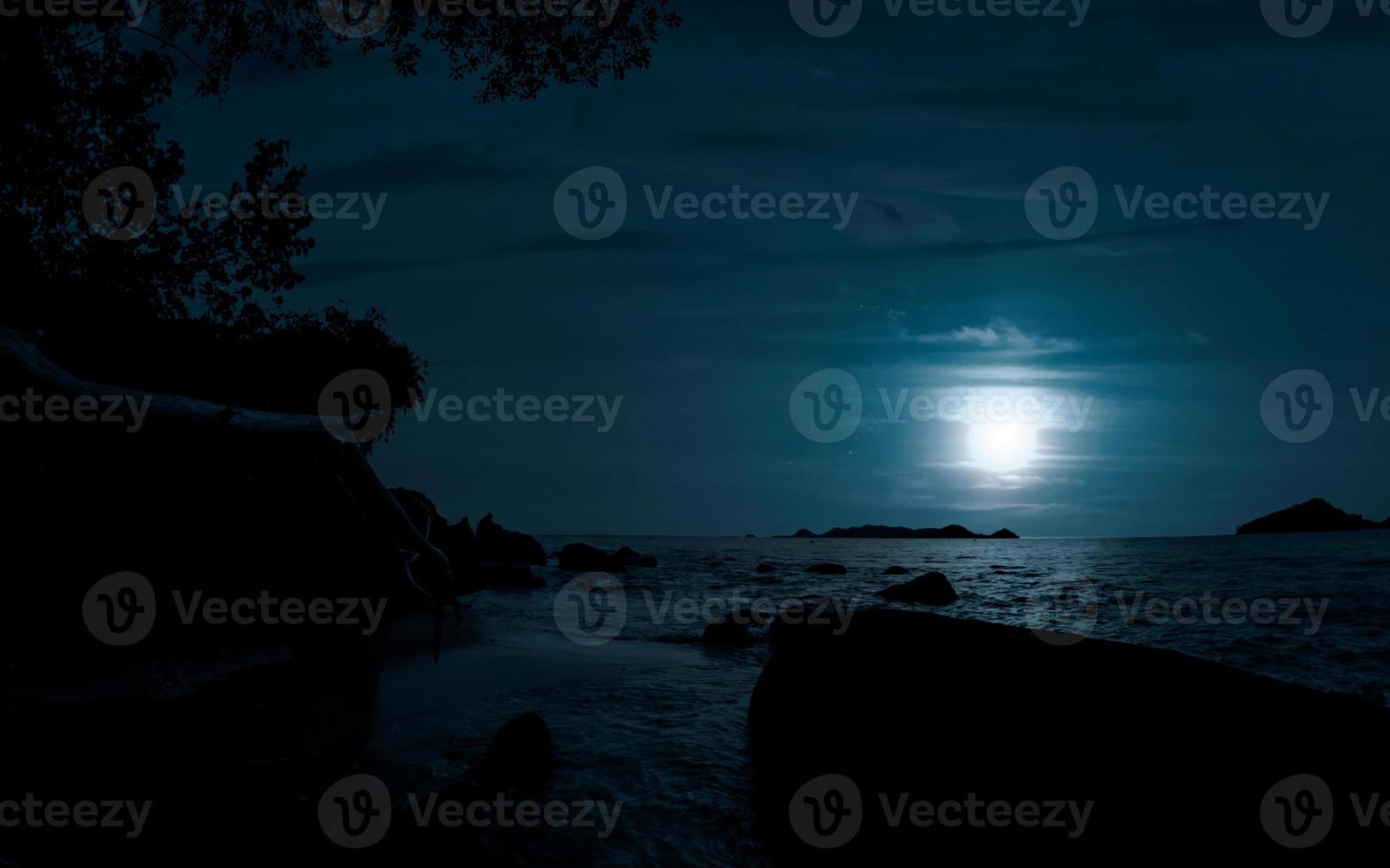 hermosa calma noche a playa con árboles, luz de la luna y rocas foto