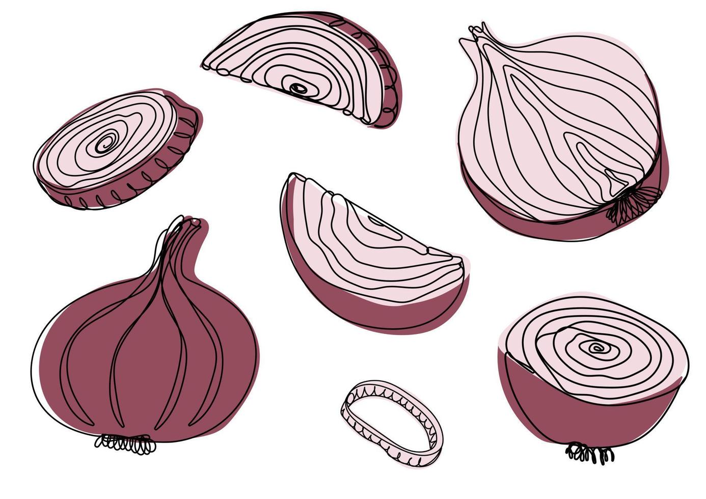 Fresh red onion set vector