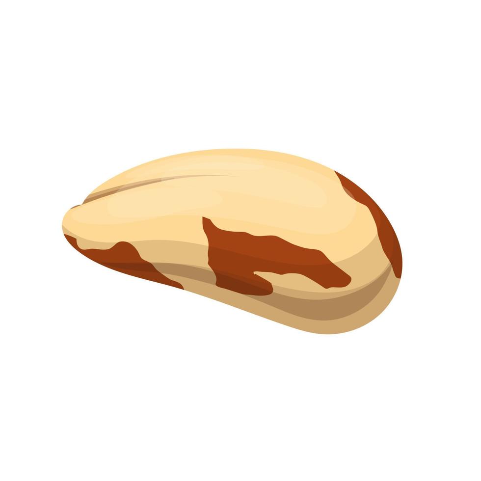 brazil nut healthy food cartoon vector illustration