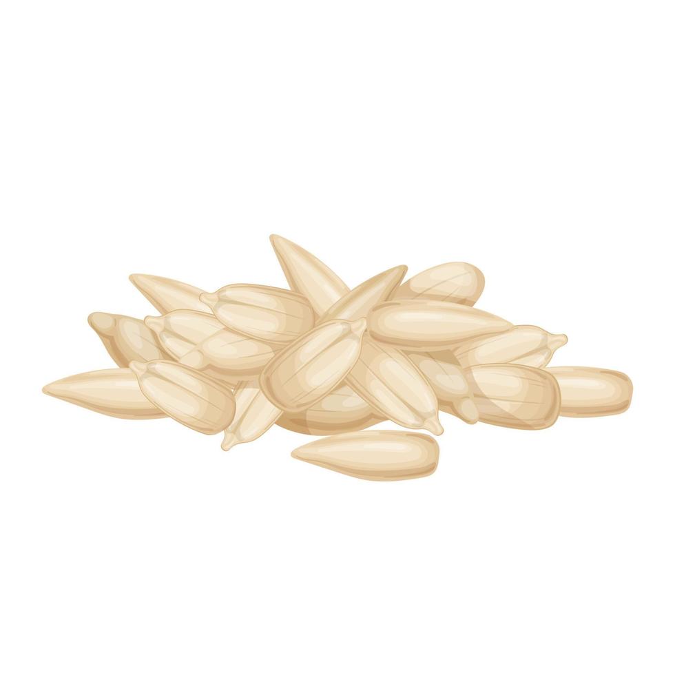 sunflower seed peeled cartoon vector illustration