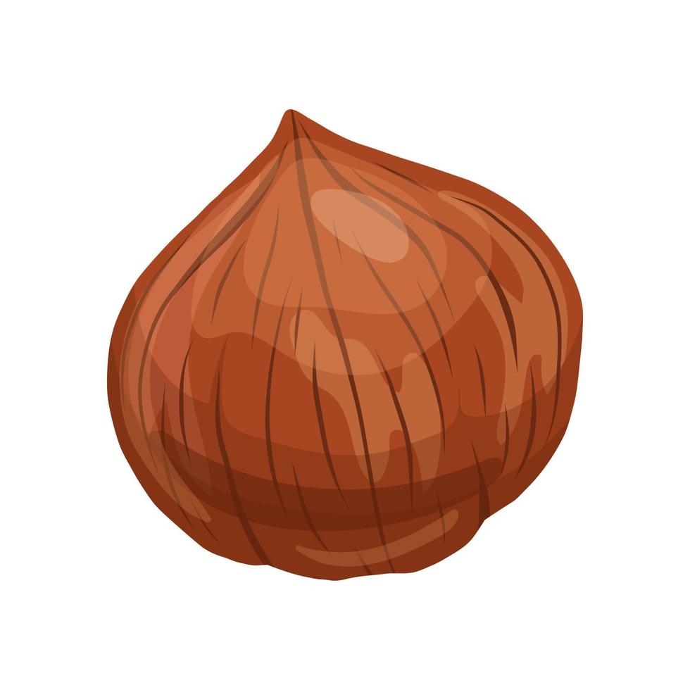 hazelnut brown nut cartoon vector illustration