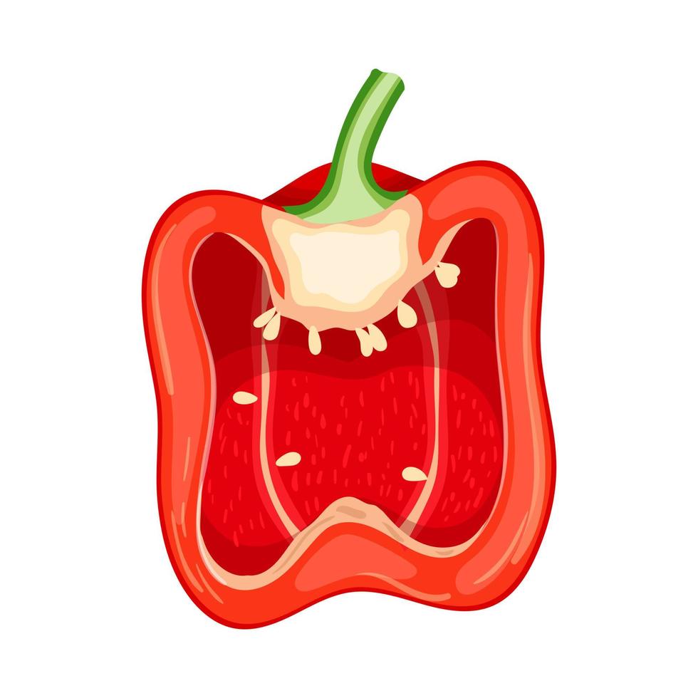 red pepper slice cartoon vector illustration