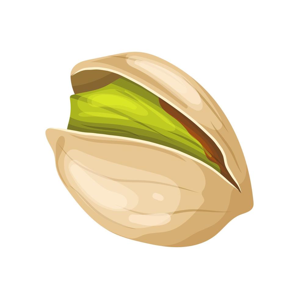 pistachio organic food cartoon vector illustration