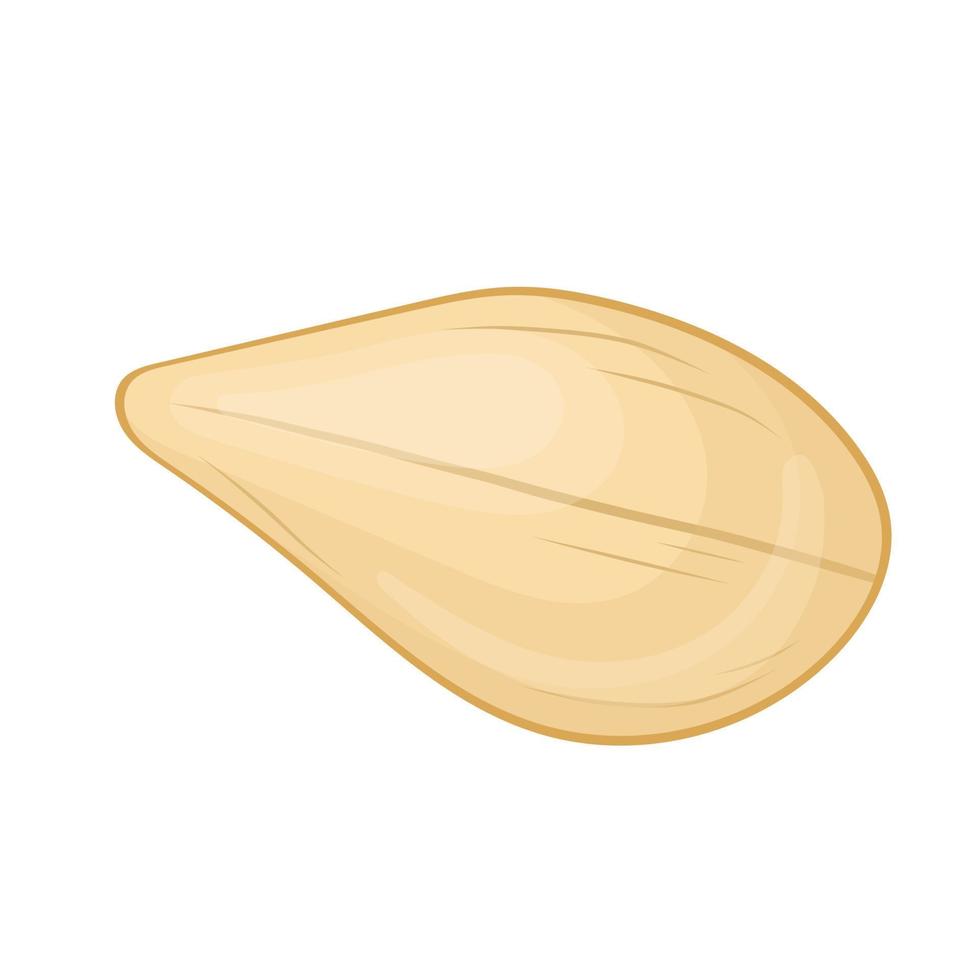 sesame seed white cartoon vector illustration