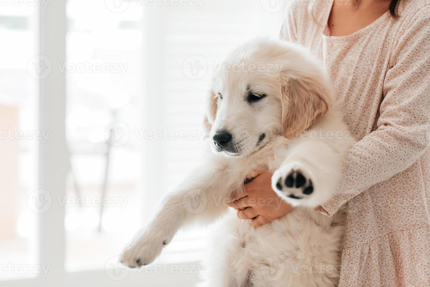 child girl play hugging dog puppy golden retriever, pet therapy and canisterapy for adults and children. animal canis assisted therapy kids emotion mental health friends love tightly cuddle copy space photo